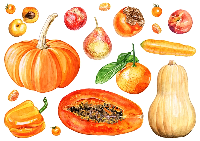 Orange Fruit & Veggies Illustrations