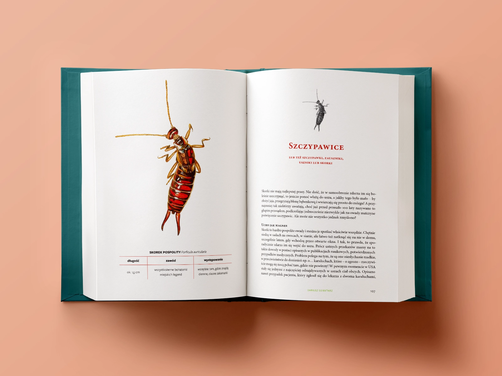 Book 'Rozejrzyj się! Fascynujący świat polskiej przyrody'